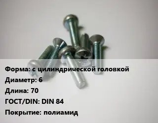 Винт с цилиндрической головкой 6х70 DIN 84 полиамид